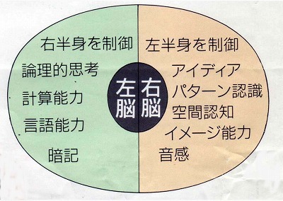 s-左脳右脳 コピー.jpg